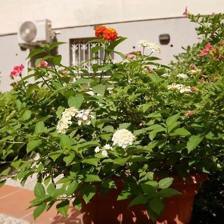 House With Garden And Parking Space In Mergellina Napoli Bagian luar foto