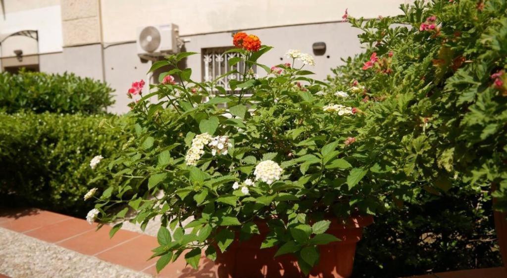 House With Garden And Parking Space In Mergellina Napoli Bagian luar foto